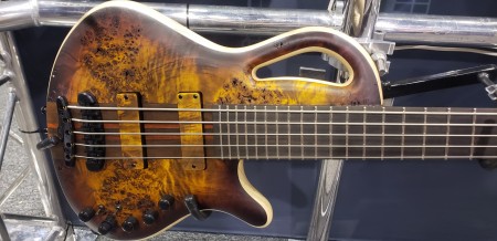 Caledonious 5 Custom Bass With Five Strings